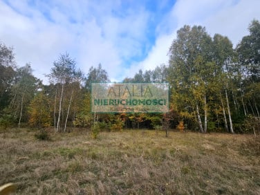 Działka Radonie