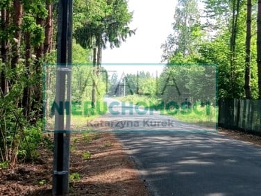 Działka przy lesie