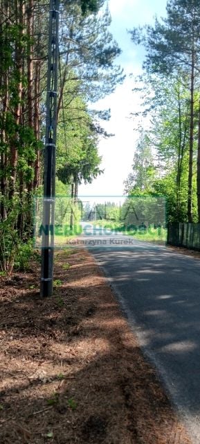 Działka przy lesie