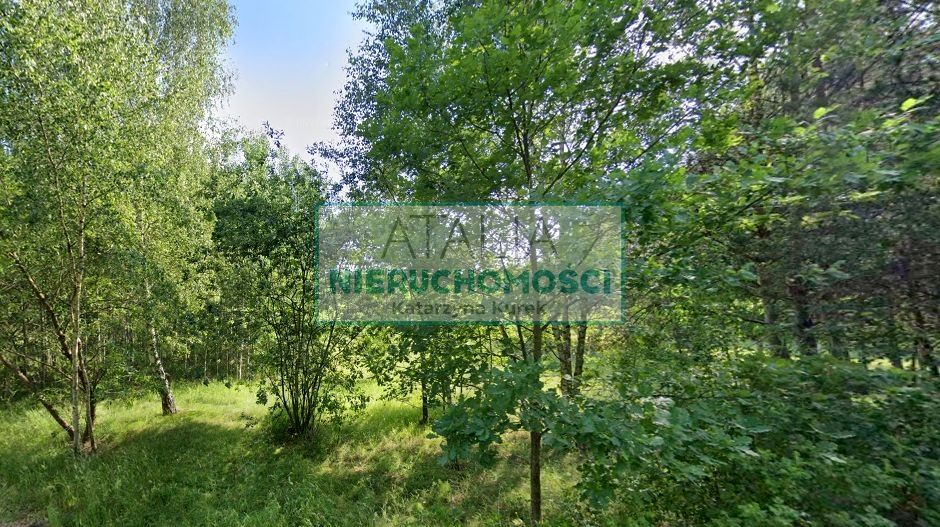 Zdjęcie 3
