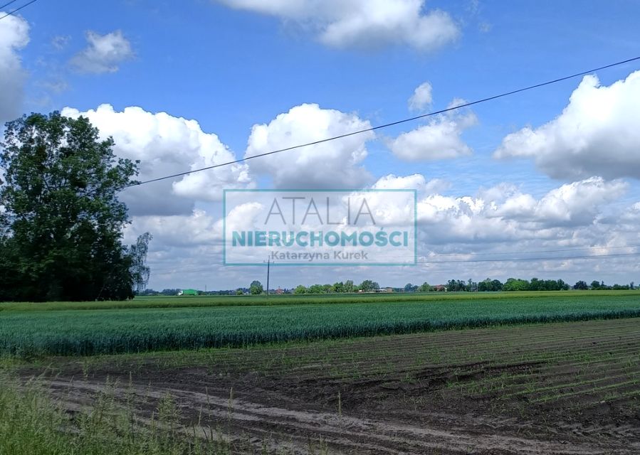 Zdjęcie 2