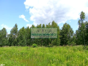 Działka Oddział