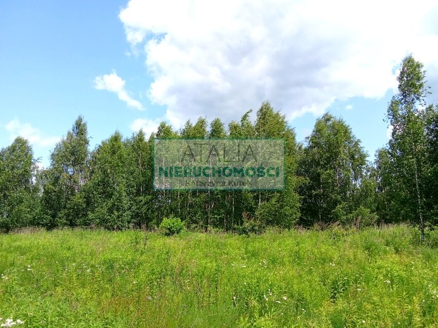 Działka Oddział