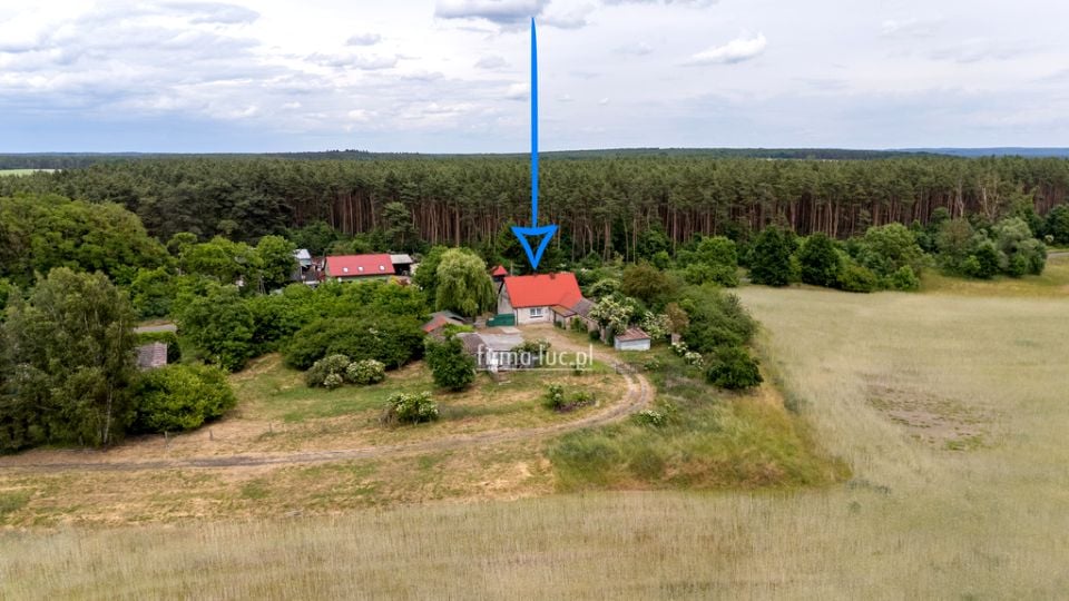 Dom Mościce