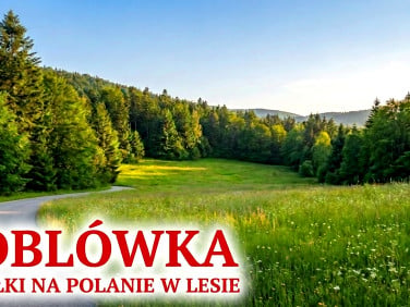 Działka Soblówka