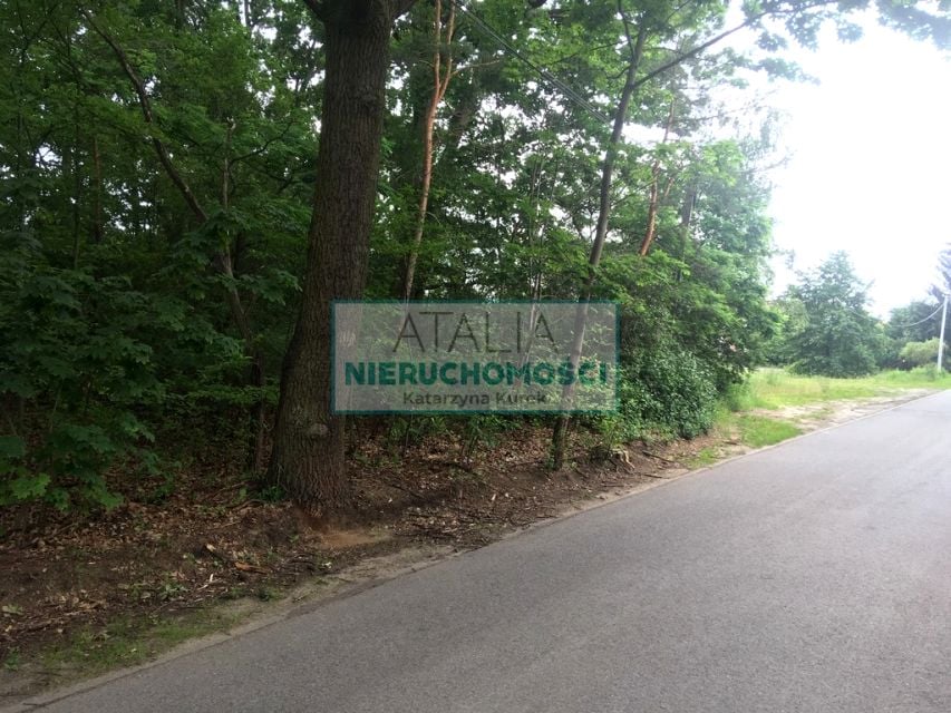 Zdjęcie 2