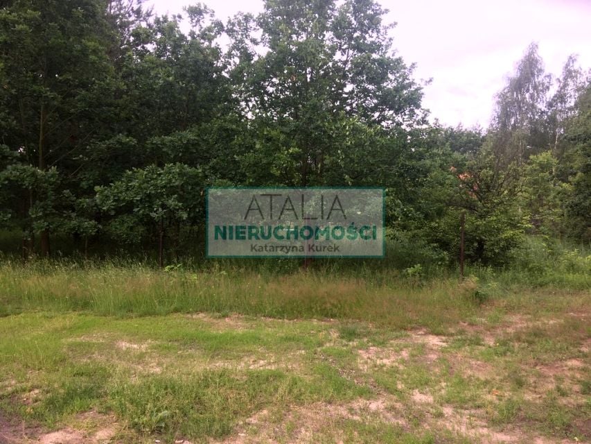 Zdjęcie 3