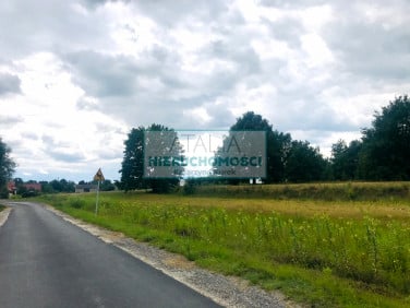 Działka Powązki