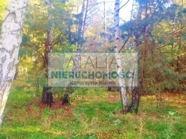 Działka Budy Michałowskie