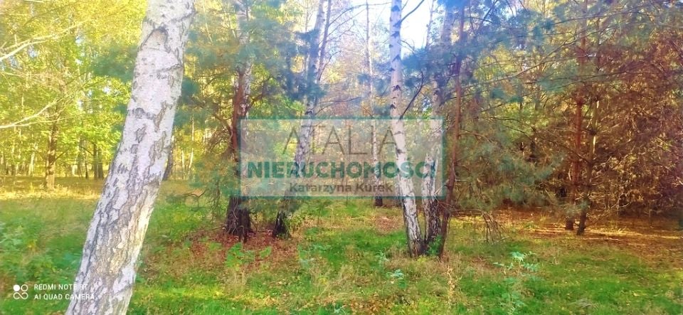 Działka Budy Michałowskie