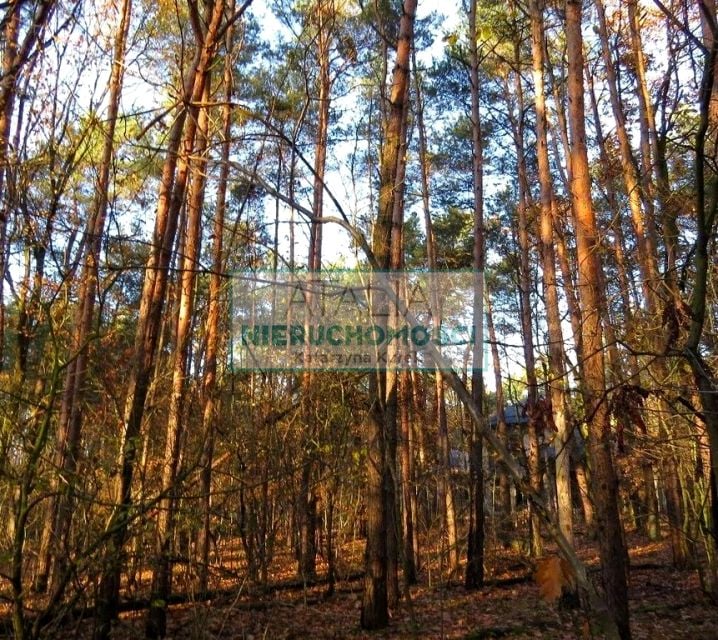 Działka Sękocin-Las
