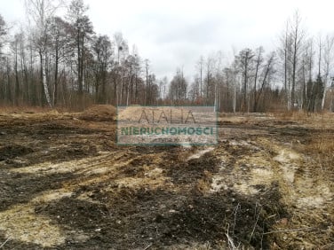 Działka Czarny Las