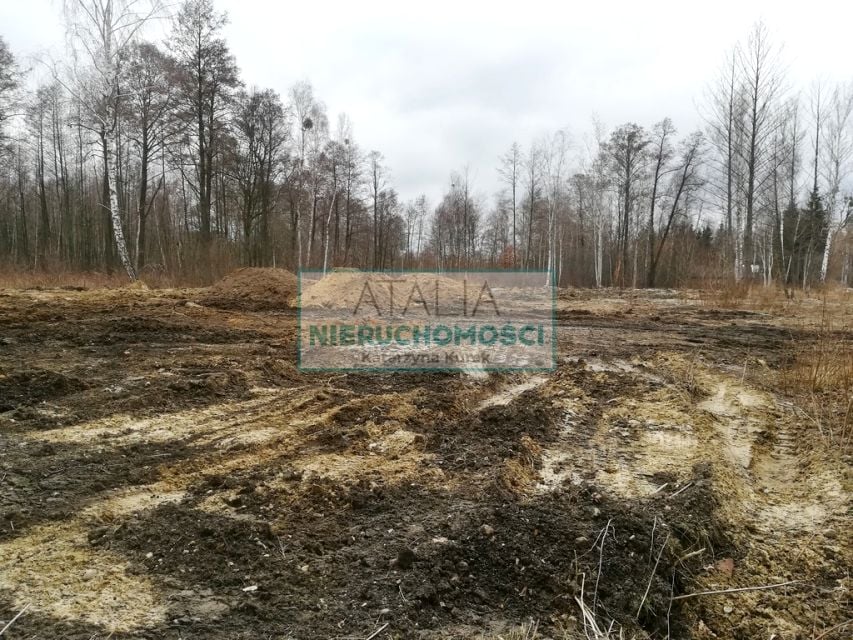 Działka Czarny Las
