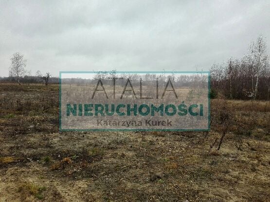 Działka leśna Majdan sprzedam