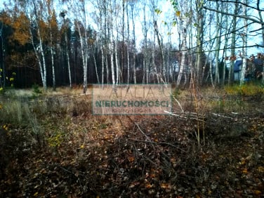 Działka Szczęsne