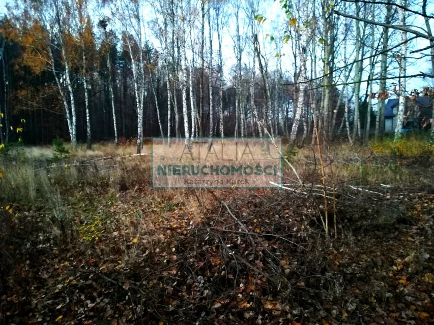 Działka Szczęsne