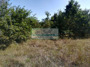 Działka budowlana sprzedam