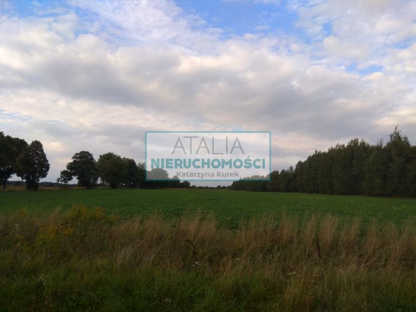 Zdjęcie 3