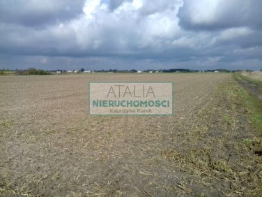Działka rolna sprzedam