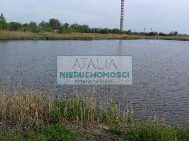 Działka Domaniewek