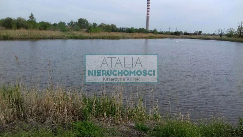 Działka Domaniewek