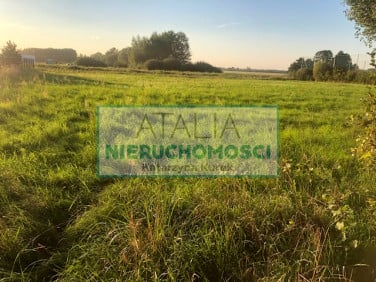 Działka Książenice