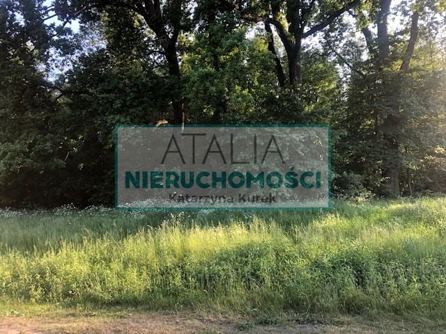 Działka przy lesie