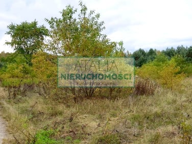 Działka Wiskitki