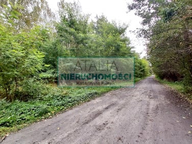 Działka Wiskitki