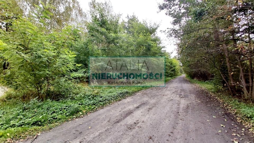 Działka Wiskitki