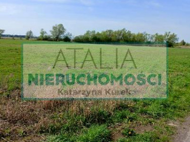 Działka Basin
