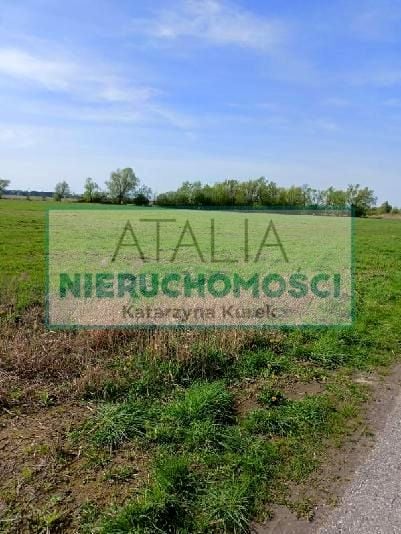 Działka Basin