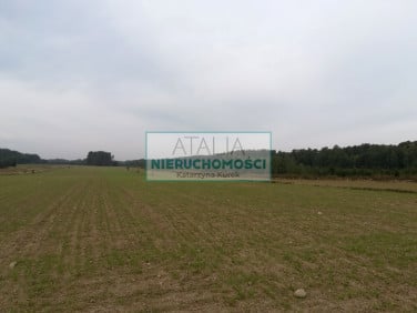 Działka Radziejowice
