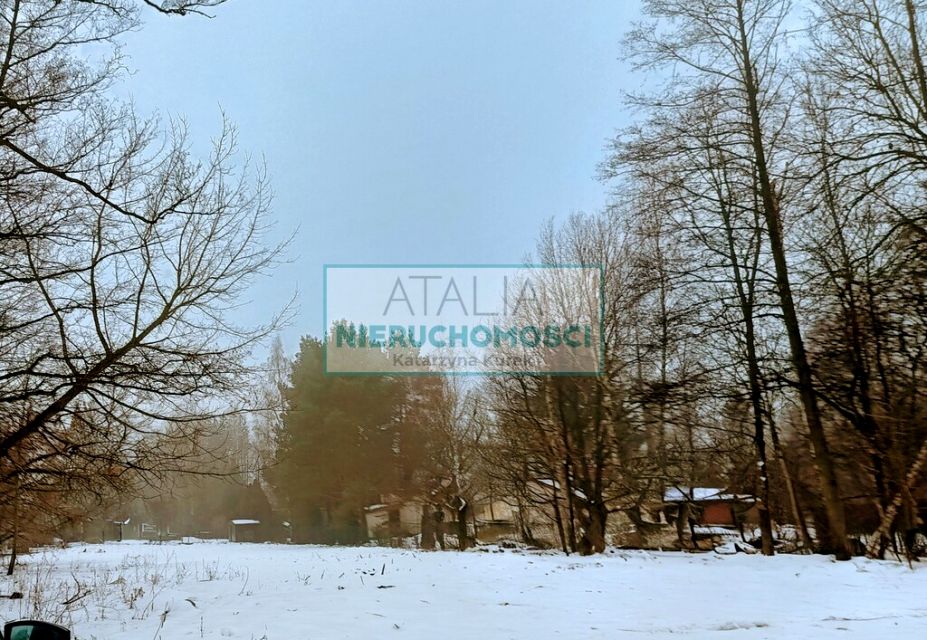 Zdjęcie 3