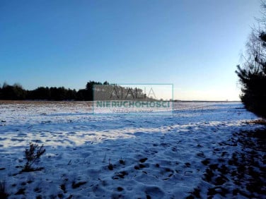 Działka rolna Chynów
