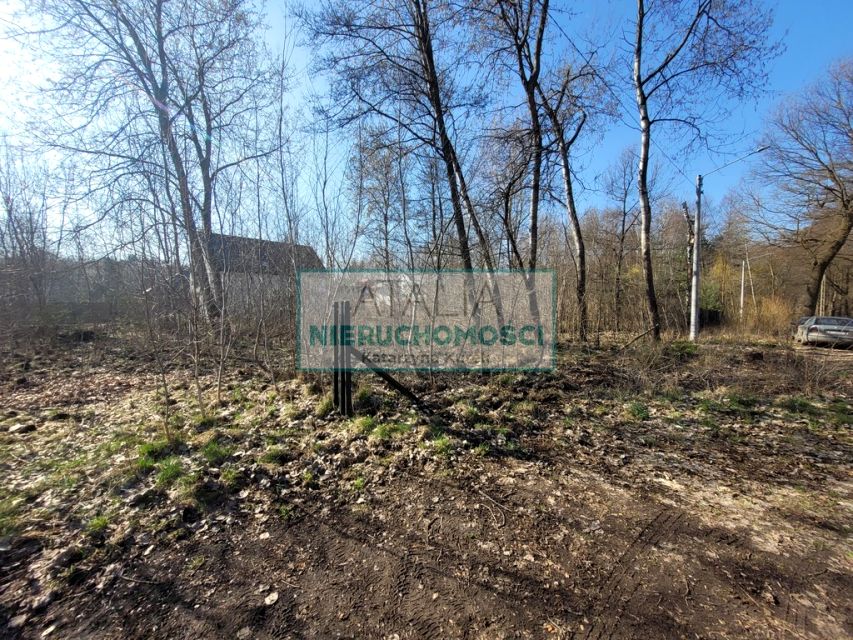 Zdjęcie 3