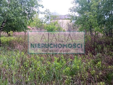 Działka budowlana Międzyborów