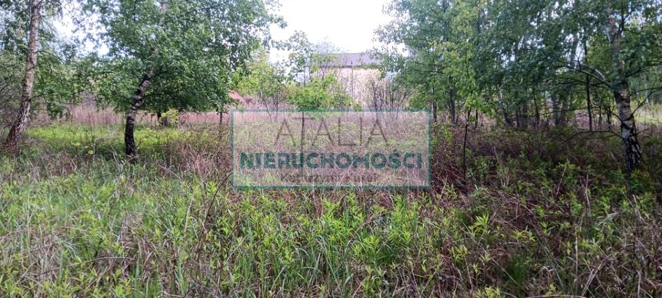 Działka budowlana Międzyborów