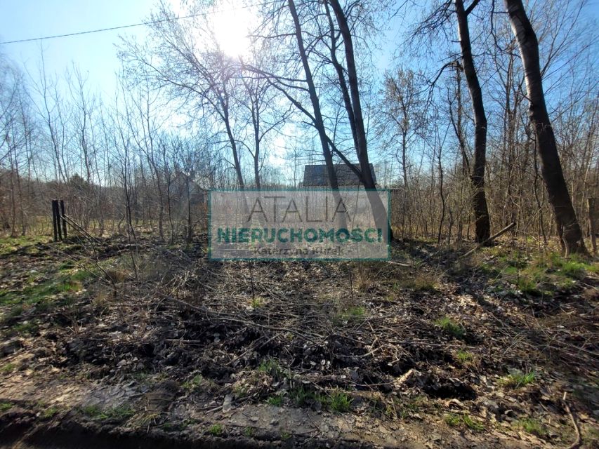 Zdjęcie 2