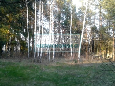 Ogrodzona działka Bieniewiec