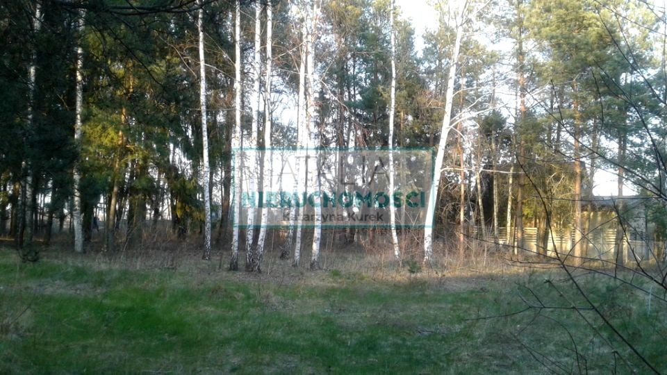 Ogrodzona działka Bieniewiec