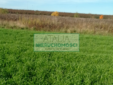 Działka Michałowice-Wieś