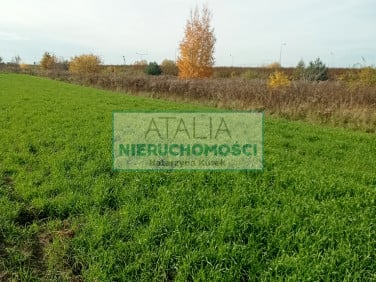 Działka usługowa Michałowice