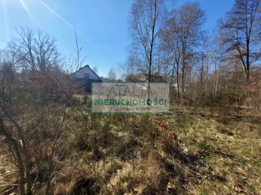 Działka Owczarnia