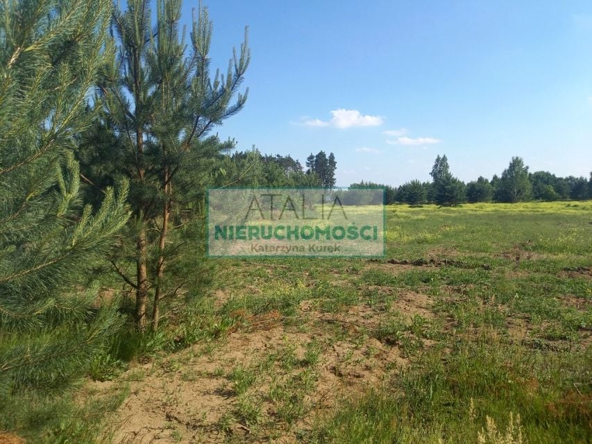 Zdjęcie 2
