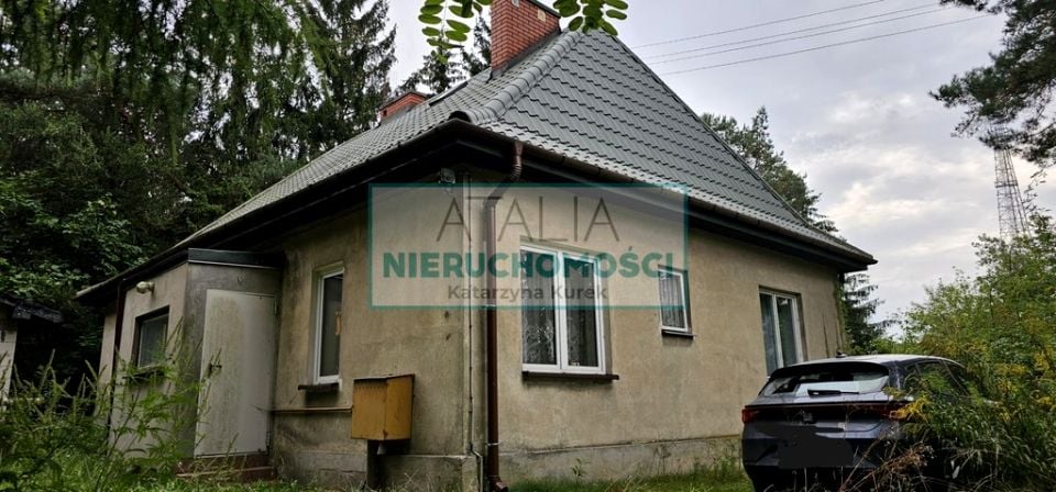 Zdjęcie 3