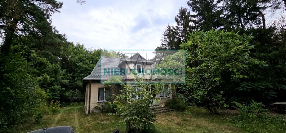 Zdjęcie 2