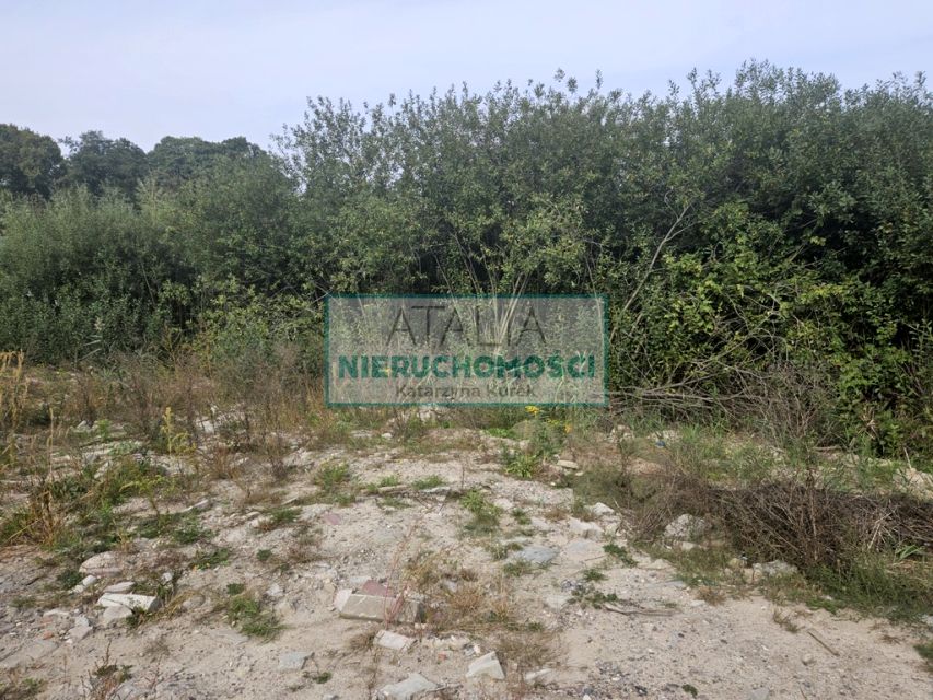 Zdjęcie 3