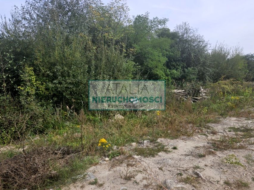 Zdjęcie 2
