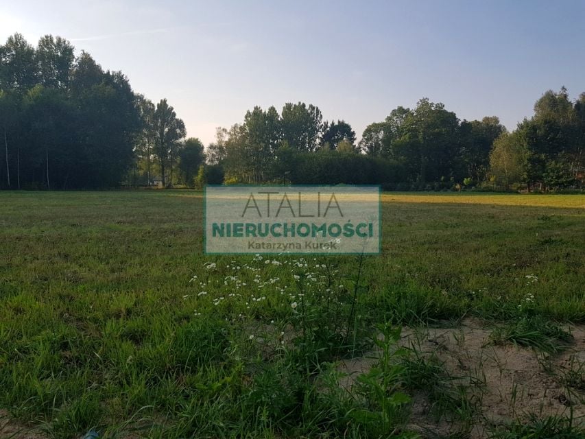 Zdjęcie 2